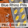 Blue Rhino Pills 42